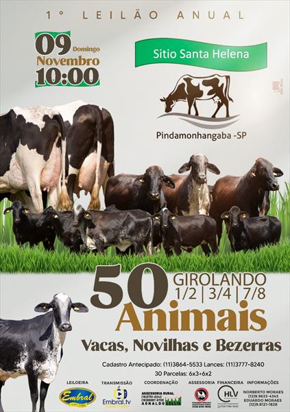 1º LEILÃO ANUAL SÍTIO SANTA HELENA | GADO GIROLANDO 1/2, 3/4 E 7/8 1º LEILÃO ANUAL SÍTIO SANTA HELENA | GADO GIROLANDO 1/2, 3/4 E 7/8