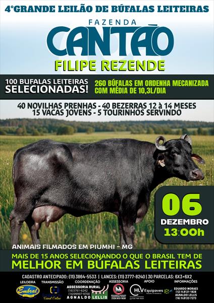 4º GRANDE LEILÃO FAZENDA CANTÃO | BÚFALAS LEITEIRAS