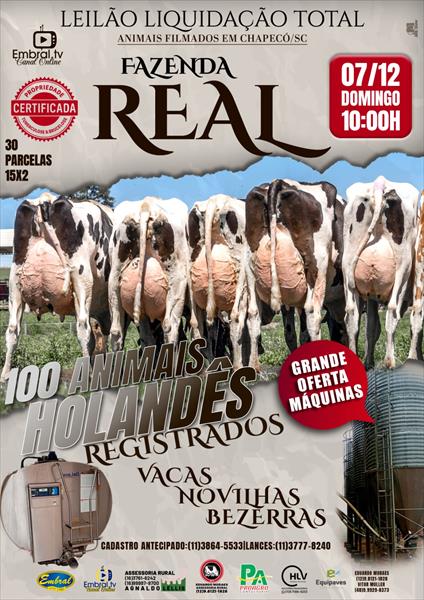LEILÃO LIQUIDAÇÃO TOTAL FAZENDA REAL | GADO HOLANDÊS E OFERTA DE MÁQUINAS