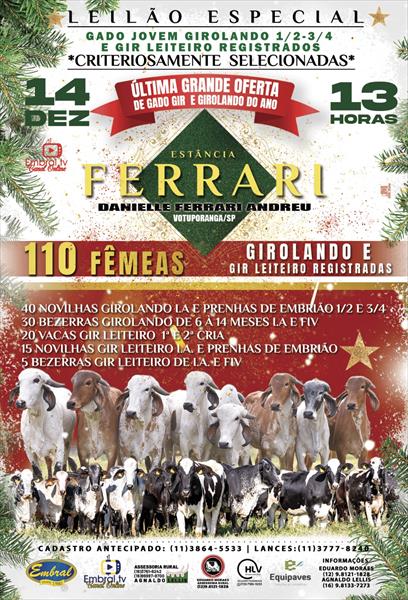 LEILÃO ESPECIAL ESTÂNCIA FERRARI | GADO GIROLANDO E GIR LEITEIRO