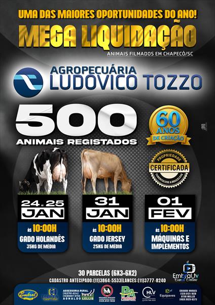 MEGA LEILÃO LIQUIDAÇÃO LUDOVICO TOZZO | GADO HOLANDÊS - DIA 2