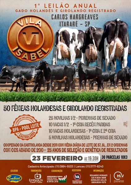 1º LEILÃO ANUAL FAZENDA VILA ISABEL | GADO HOLANDÊS E GIROLANDO