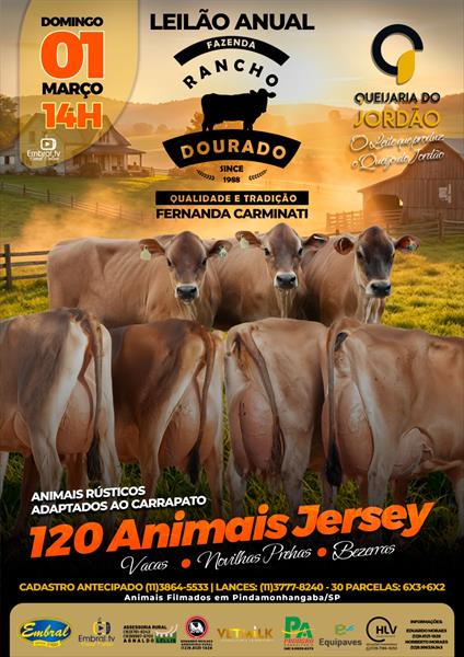 LEILÃO ANUAL FAZENDA RANCHO DOURADO | GADO JERSEY