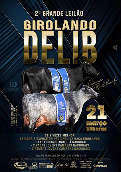 2º GRANDE LEILÃO DELIB | GADO GIROLANDO