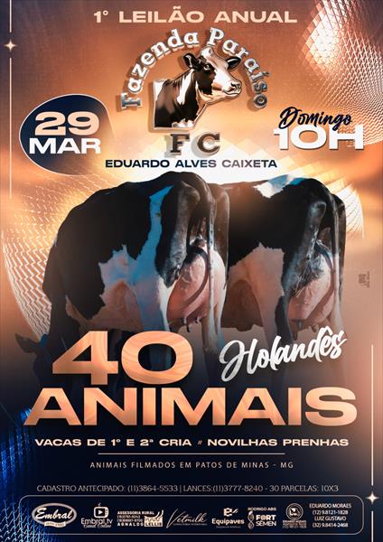 1º LEILÃO ANUAL FAZENDA PARAÍSO | GADO HOLANDÊS